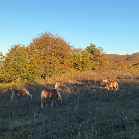 Prázdninový dům ранчо бандера Tservenyano