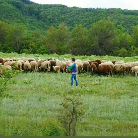 ранчо бандера Prázdninový dům