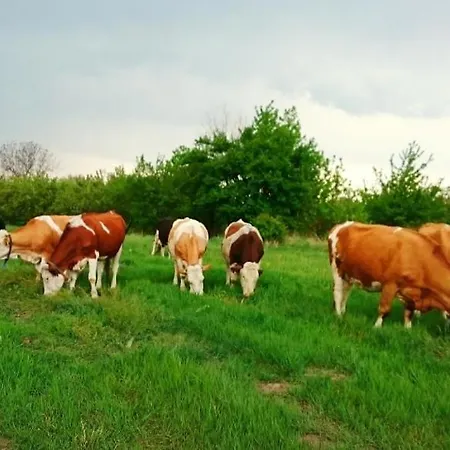 Prázdninový dům ранчо бандера