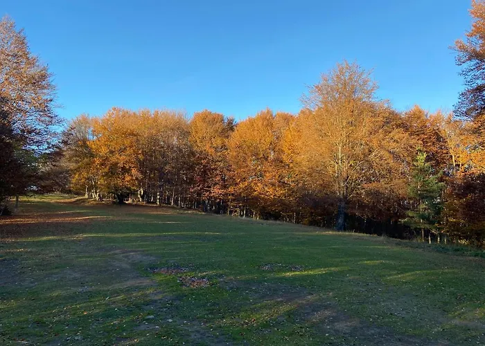 Дом отдыха ранчо бандера *