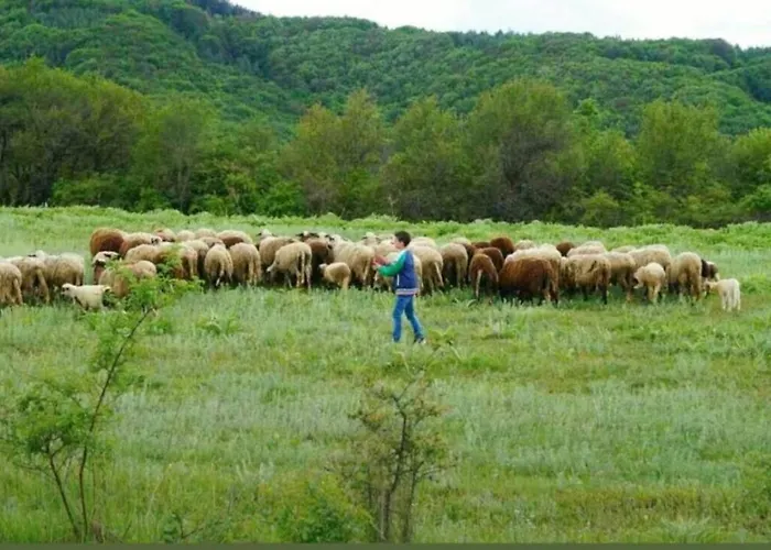 ранчо бандера Дом отдыха